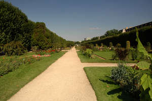 Jardin des Plantes - botanická zahrada