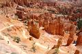 Paths in Bryce Canyon
